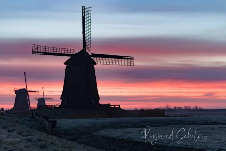 Foto molens